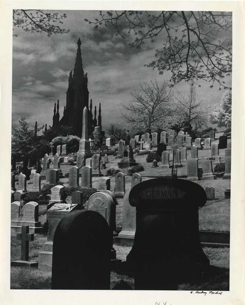 Click for larger image